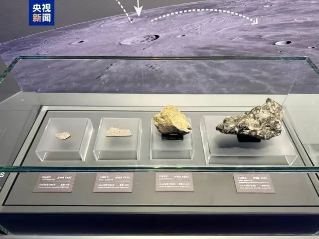 意一车次！下月5日起珠海站部分列车运行有调整→ayx爱游戏app新闻早茶｜一次扫码可乘坐任(图9)