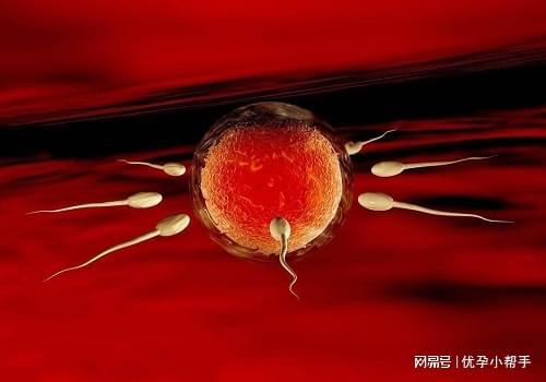 期需要注意什么呢？-优孕行爱游戏平台高龄女性备孕及孕(图1)